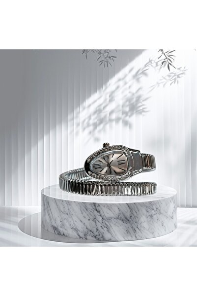 CaseTechnoo Yılan Model Dolamalı Gümüş Renk Kol Saati