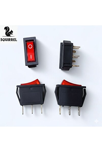 Squirrel Electric car start button