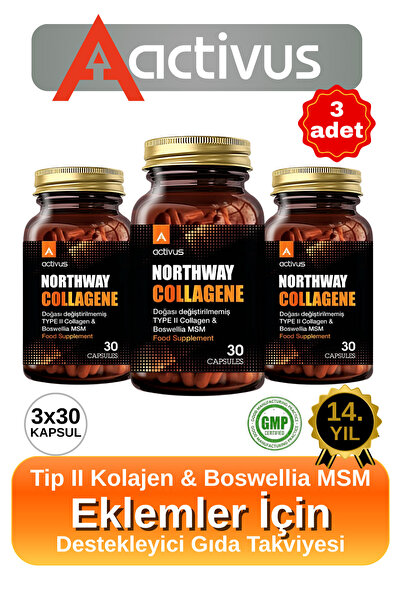 ACTİVUS Northway Kolajen tip 2 Eklem desteği Tam Destek Metilsülfonilmetan MS...
