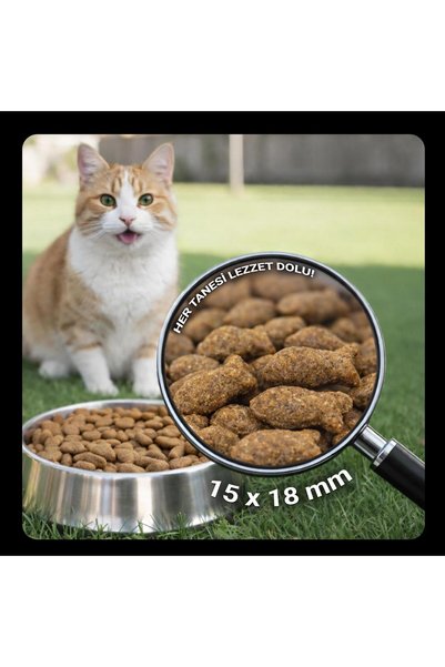 Luis Somonlu Yetişkin Kedi Maması 15kg