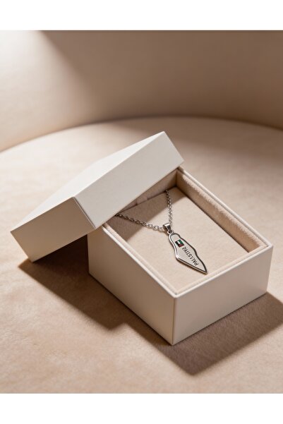 Zaytoon "palestine" stainless steel plated chain unisex necklace inside the m...