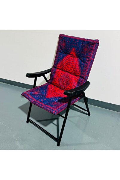 REDROSE COLOR Luxury travel chair with a distinctive design and unparalleled ...
