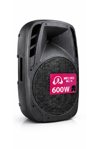 DRİTON DRT-010 10INC 25CM PLASTİK PASİF KABİN HOPARLÖR