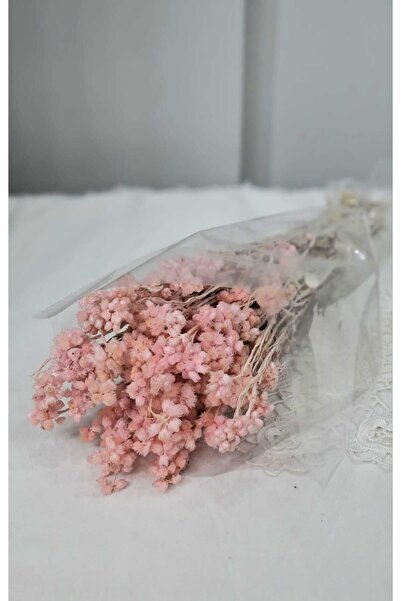 Birlik Pembe Kuru Lonas Otu (Pıtırcık) 30-35 cm - Dekoratif Doğal Kuru Çiçek