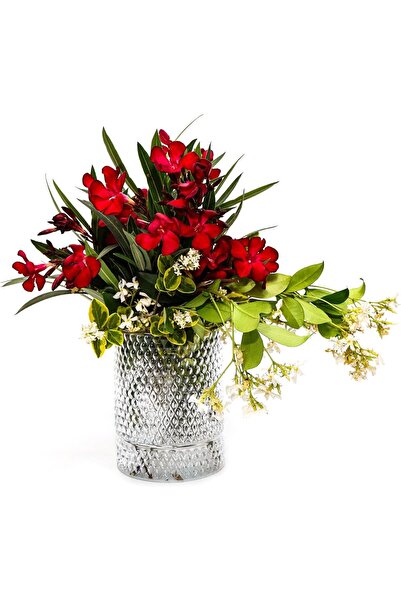 Nacario Nrcrioshop Mi̇ssi̇ Glass Vase/Candle Holder (14 cm) 1201248