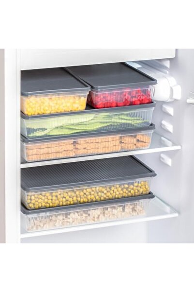 Yıldızan esnshop 1101 مجموعة من 4 حاويات تخزين طعام متعددة الأغراض، مجمد عميق...