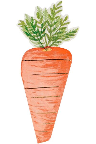 Yıldızan Esnshop Carrot Napkins, 16-Pack 1209132