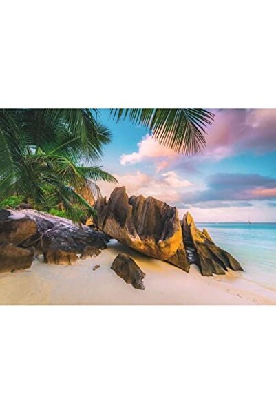 Nacario متجر نركريو شوب 1000p بوز سيشيلز 1201248