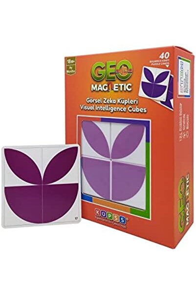 Nacario Nrcrioshop Geo Jr. Magnetic Visual Intelligence Cubes (40 Geometric S...