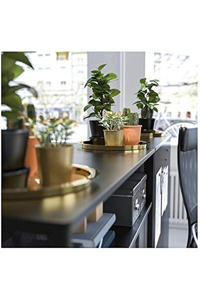 Yıldızan Esnshop Glattis Tray, Brass Color 1209132