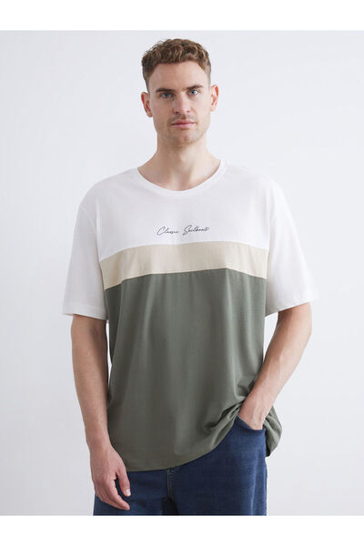 LC Waikiki Ανδρικό μπλουζάκι LCWAIKIKI Classic Crew Neck Color Block χτενισμέ...