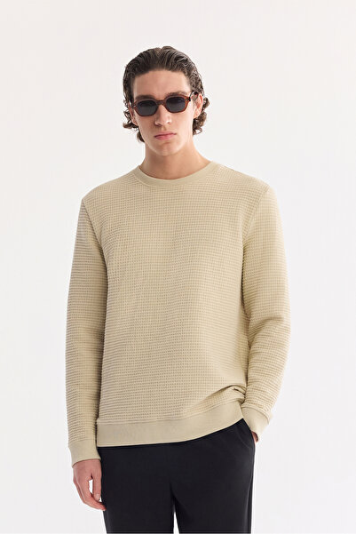Avva Men's Beige Crew Neck Jacquard Sweatshirt A61Y1207