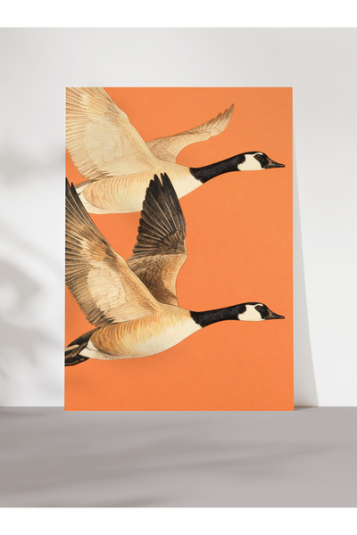 Sweetco Çerçevesiz Poster Flying Geese | Uçan Kazlar ve Doğadan İlham Alan Mi...