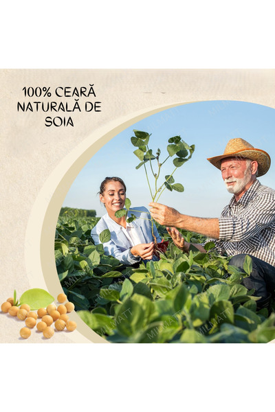 MILMATT Ceară de soia și parafină pentru matrițe TERRAWAX E7311P, 3 kg
