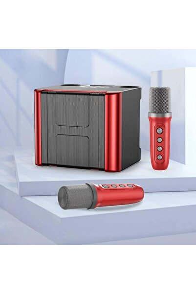 YOSYO Wireless Karaoke Bluetooth Speaker with Mic