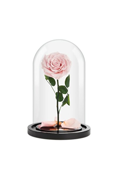 OEM Trandafir criogenat Forever Rose Roz