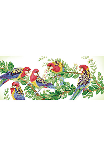 diamond dotz Tablou cu diamante - Papagali Rosella, 37 x 87 cm