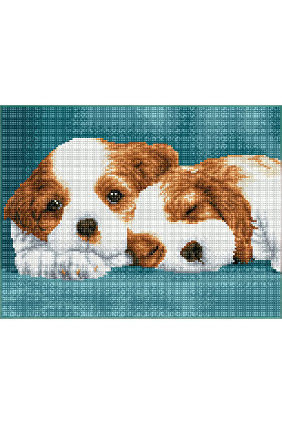 diamond dotz Tablou cu diamante înrămat – Micii campioni, 31 x 41 cm