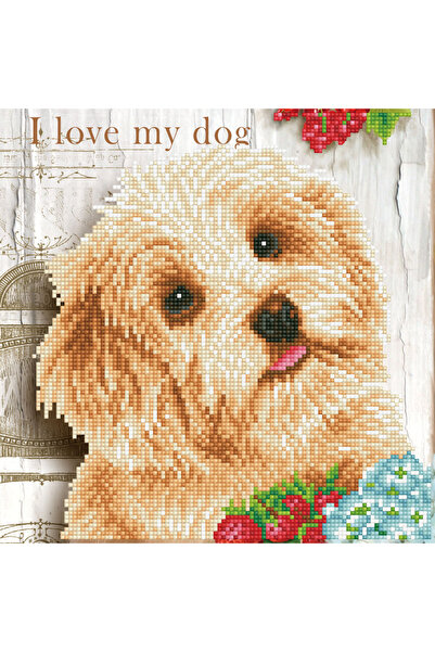 diamond dotz Tablou cu diamante înrămat - Cățeluș I love my dog, 31 x 31 cm