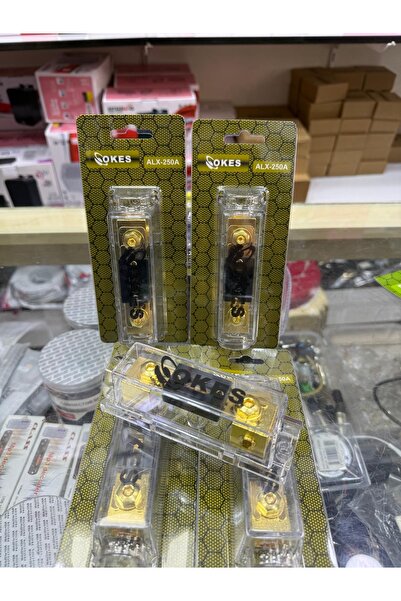 OKES TKN PROFESYONEL OTO AMFİ SİGORTASI 250 AMPER