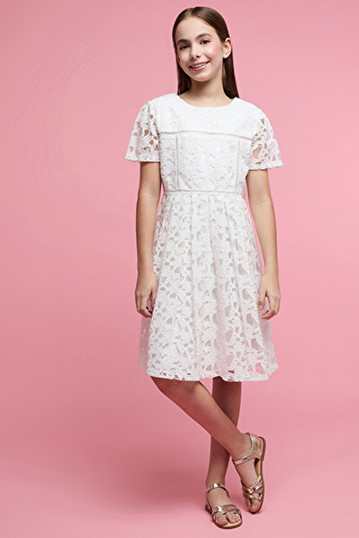 R&B Lace Fit & Flare Dress with Crew Neck and Short Sleeves
