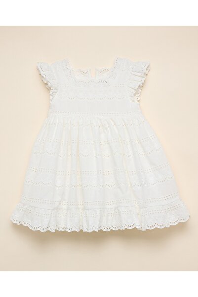 R&B Schiffli A-Line Dress with Square Neck with Ruffle Sleeves