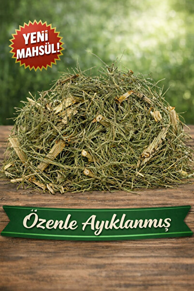 Diyet AVM Kırkkilit Otu (At Kuyruğu Otu) 200 g Ekonomik Paket Büyük Boy