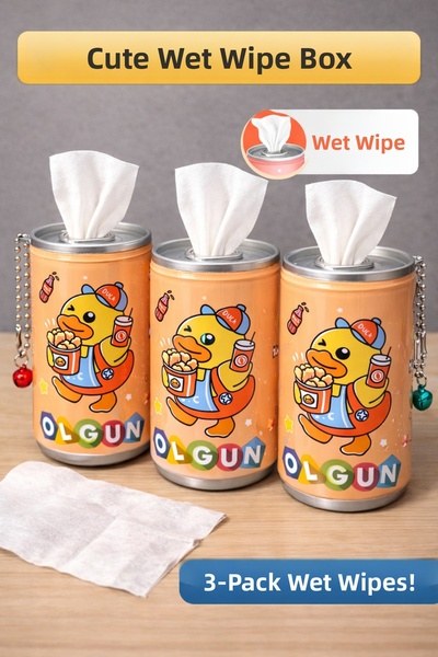 ASELYA Decorative Cute Wet Wipe Box Set of 3 – Home & School Use