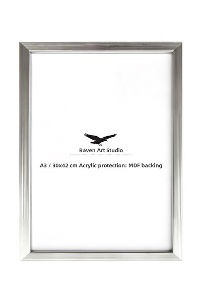 Raven Art Studio Ermitaj A3 Dimensiune 30cm x 42cm Argintiu pentru pictură, f...