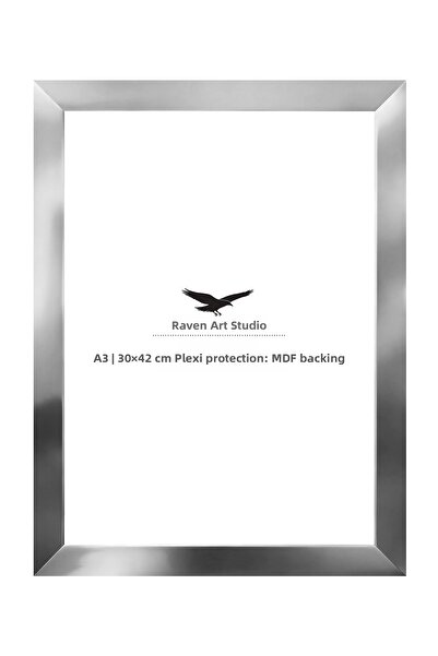 Raven Art Studio Potala A3-30x42cm Argintiu pentru tablouri, fotografii, docu...