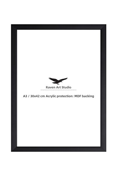 Raven Art Studio Ermitaj A3 Size 30cm X 42cm Black Picture Photo Document Pos...