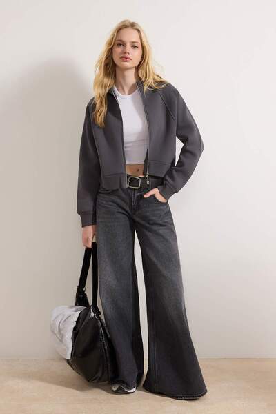 Trendyol Collection Anthrazitfarbenes Regular-Fit-Crop-Sweatshirt mit Reißver...