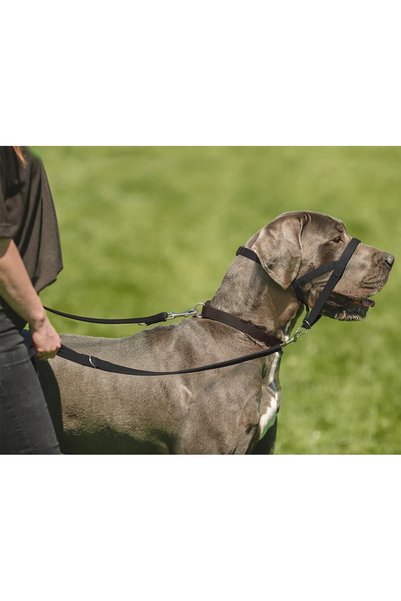 VSLT HANDMADE Kancalar Is for Dogs up to 25 Kilos. Dog Leash with Double Carabiner. Double Hook Dog Leash.