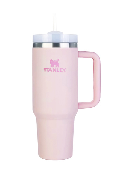 Leon Lifestyle Stainless Steel Vacuum Insulated Tumbler with Lid and Straw fo...