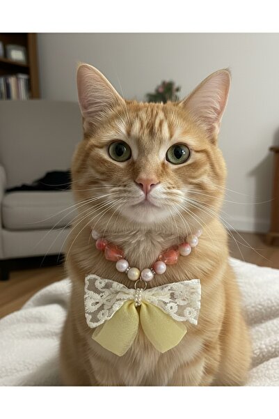 PHENORA قلادة أنيقة للقطط بتصميم لؤلؤي مزخرف بفيونكة - طوق قطط أنيق