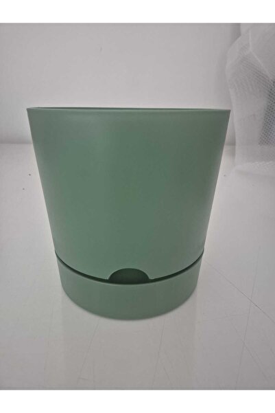 leogarden Begonya 5 Lt Yeşil Saksı (LEOFLOWERS ÜRÜNÜ) Fma044643