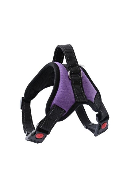 Ans طوق صدر للكلاب مقاس S