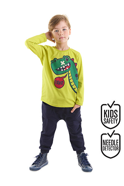 Denokids Rawr Dinosaur Boy T-shirt Pants Set