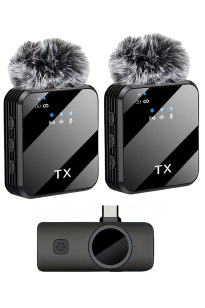 Skygo Zr1027 F12 Type-C Dual Microphone