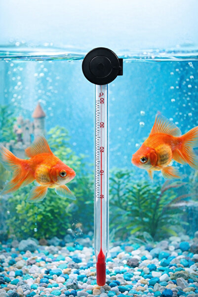 ATLANTİK Hassas Cam Termometre Vantuzlu Akvaryum Derecesi
