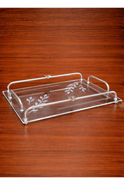 ALQANNAS Modern Rectangular Acrylic Serving Tray with Silver Stainless Steel ...