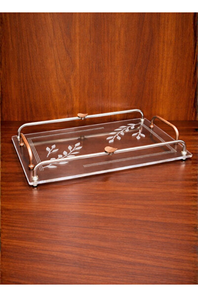 ALQANNAS Modern Rectangular Acrylic Serving Tray with Wood-Finish Stainless S...