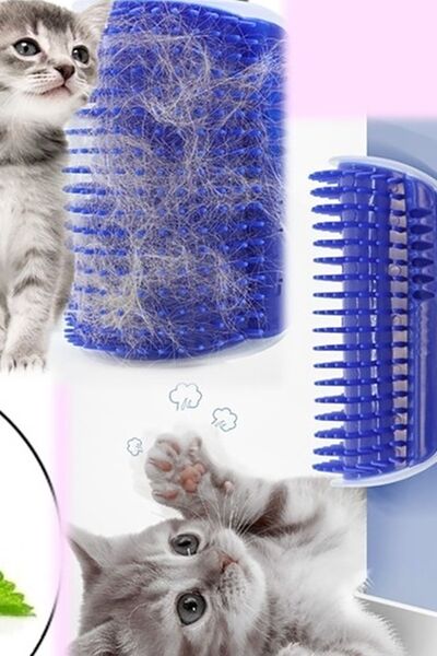 Gampus Aveo 1 قطعة من جهاز Cat It العملي لحك وتمشيط شعر القطط، أداة حك مثبتة ...