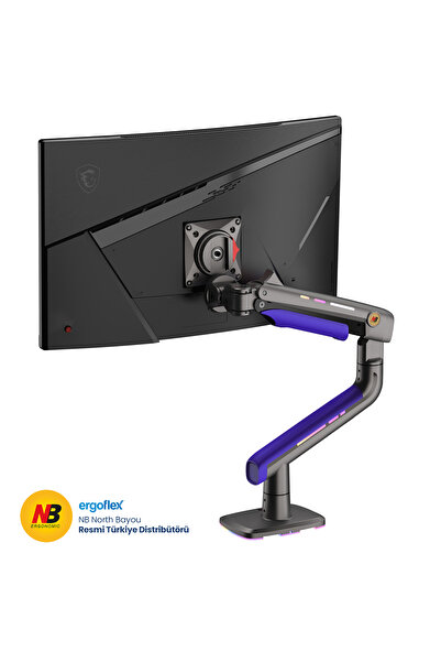 Ergoflex North Bayou G60-Gaming , 2-20 Kg , 32"-60" Uyumlu, RGB Aydınlatmalı,...