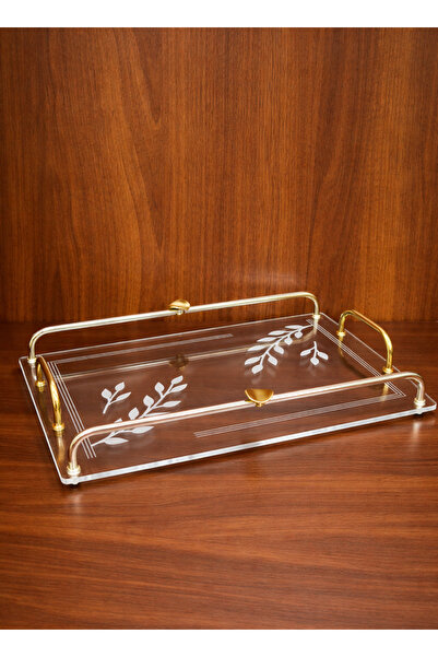 ALQANNAS Modern Rectangular Acrylic Serving Tray with Gold Stainless Steel Ha...