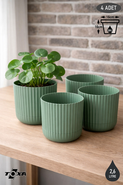ToXA 4 Adet 2,6 Litre Sütun Saksı Seti