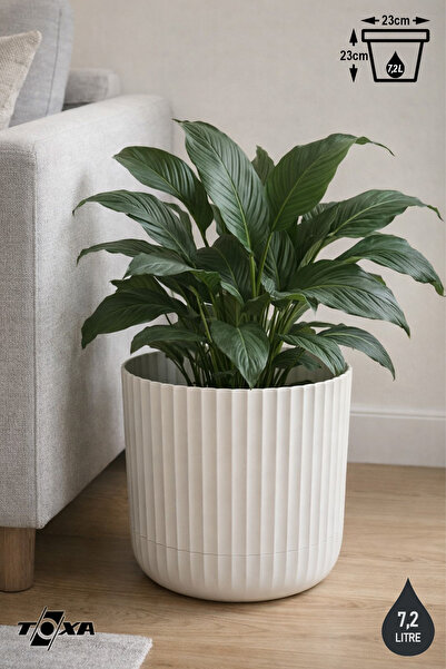 ToXA 7 Litre Sütun Saksı