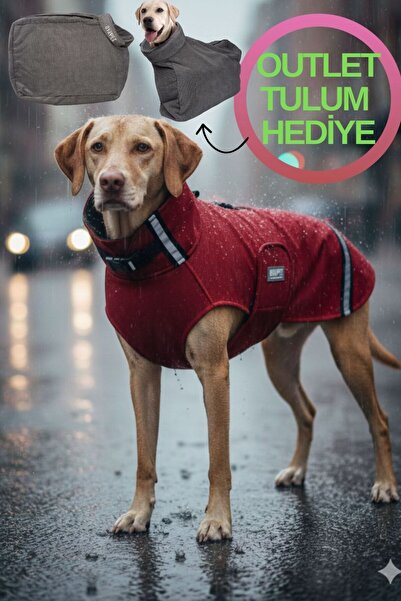 oyapet Su Geçirmez Softshell Köpek Yağmurluğu – Ayarlanabilir Boyun/Göğüs, Ta...