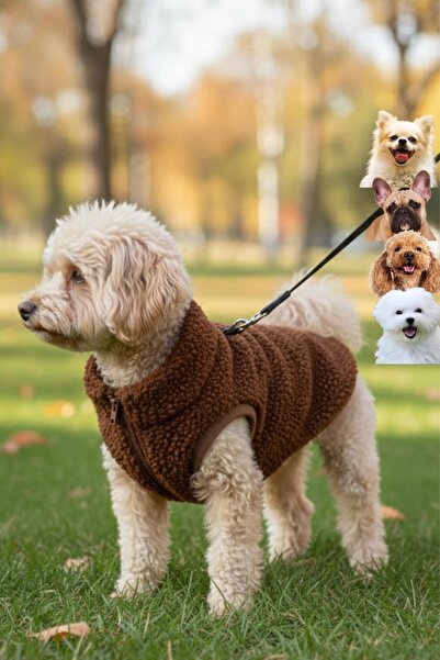 salya store Fermuarlı kahverengi teddy peluş köpek ceketi