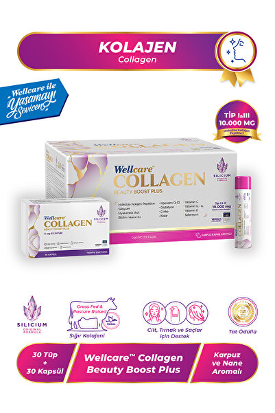 Wellcare كولاجين بيوتي بوست بلس بنكهة البطيخ والنعناع 10.000 ملغ شكل سائل - 3...